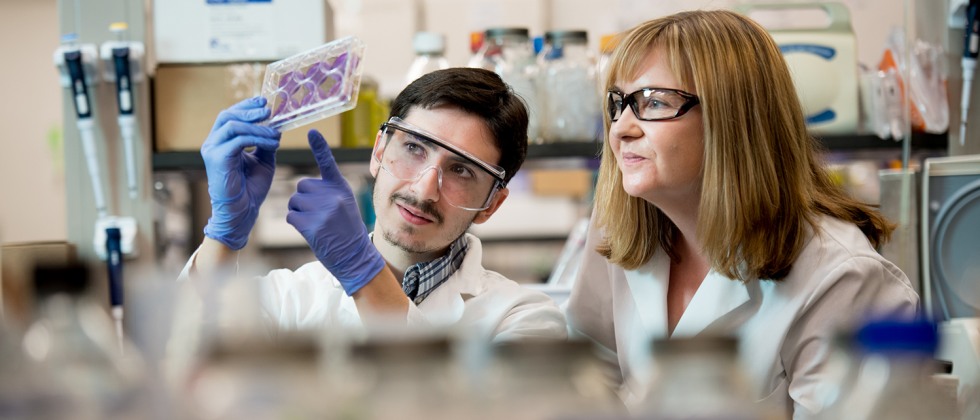 バイオテクノロジー修士プログラム - 3