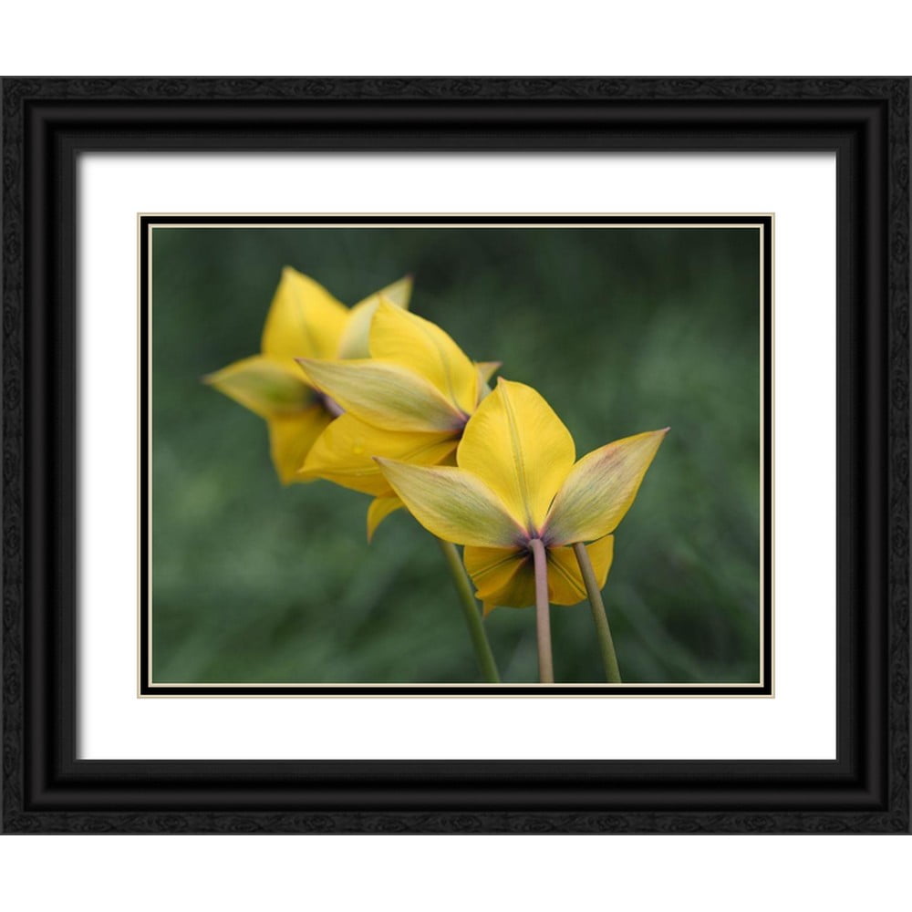 ボニン、スザンヌ 14x12 ブラックオーナメントウッドフレーム ダブルマット付き ミュージアムアートプリント 『Frozen Bubble』