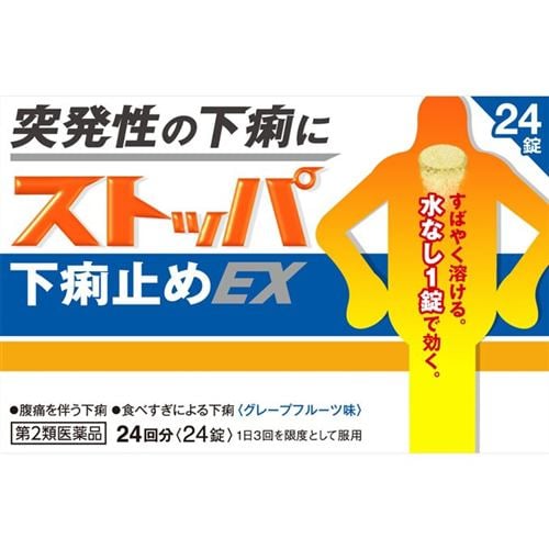 【第2類医薬品】 ライオン ストッパ下痢止めEX (24錠) - 1
