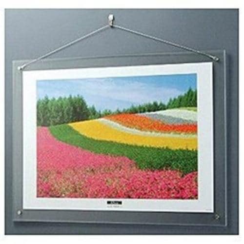 Nakabayashi Acrylic Picture Frame Wall-Mount Type for A2 Prints Clear ACH-A2