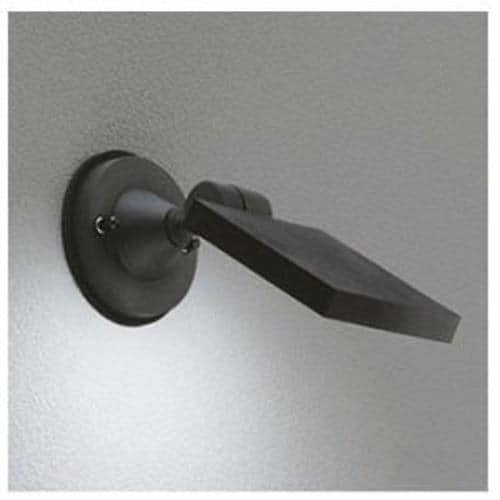 Odelic LED Exterior Spot Light Black OG254122
