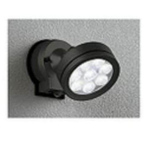 Odelic LED Motion Sensor Waterproof Exterior Spotlight Daylight White OG254213 - 1