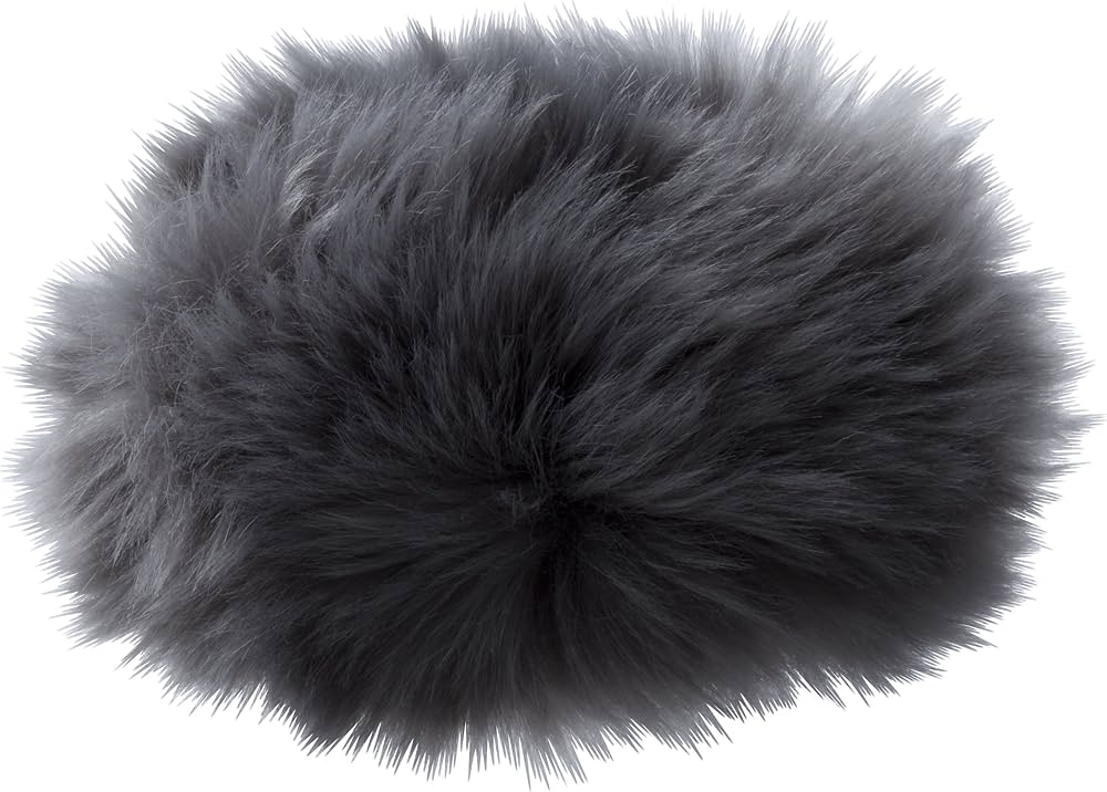 オリンパス WJ-4 ウィンドジャマー LS-100用 - 3