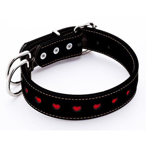 Petio BL Hearty Flat Collar 30MM Black - 1