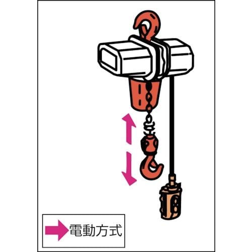 Zojirushi Beta Type Compact Electric Chain Block 200KG Rated Load 6M Lift (βS-020 6m) BS-K2060 - 3