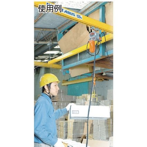 Zojirushi Beta Type Compact Electric Chain Block 200KG Rated Load 6M Lift (βS-020 6m) BS-K2060 - 4
